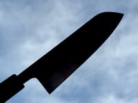 Image 4 of 156MM SANTOKU #313