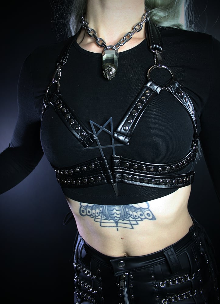 Image of SUMMON HARNESS