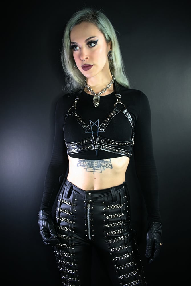 Image of SUMMON HARNESS