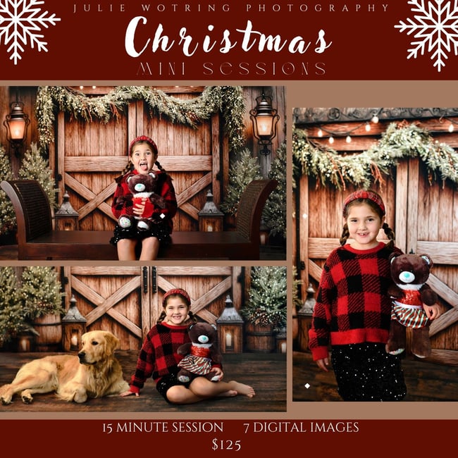 Christmas Mini Sessions