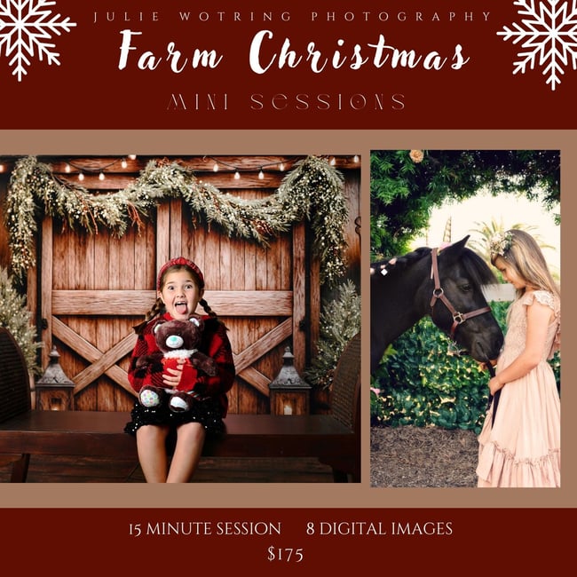 FARM Christmas Mini Sessions 