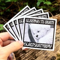 Image 1 of "Sleeping to death" Sticker Bundle
