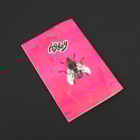 Image 4 of FLYBOY DE MANGY SHEEP