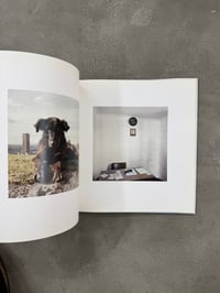 Image 2 of Dog Days, Bogota - Alec Soth