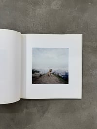 Image 4 of Dog Days, Bogota - Alec Soth