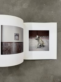 Image 8 of Dog Days, Bogota - Alec Soth