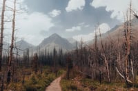 WATERTON LAKES NATIONAL PARK, 2023