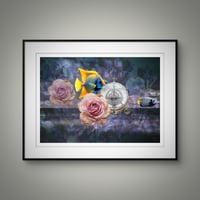 Image 4 of 'Fish and Flower Exploring'