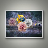 Image 2 of 'Fish and Flower Exploring'