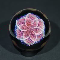 Image 1 of Nebula Rose