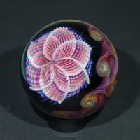 Image 2 of Nebula Rose