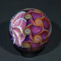 Image 4 of Nebula Rose