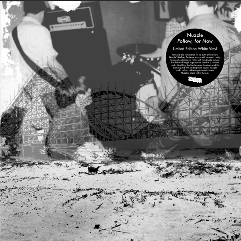 Image of Nuzzle - Follow, For Now LP