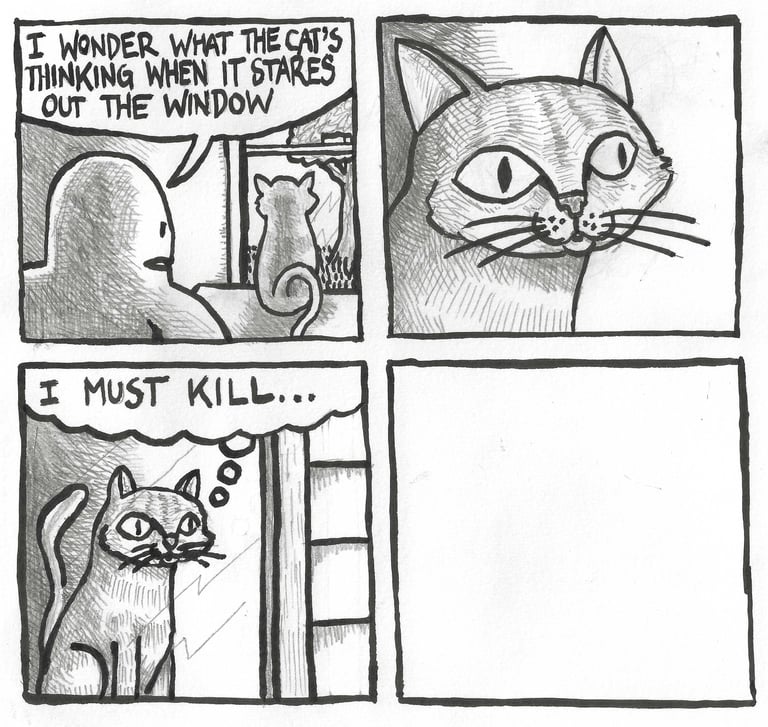 Cat Thoughts