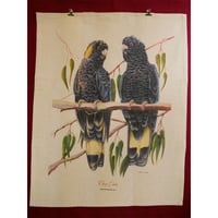 Image 5 of "Majestic Pair" - Yellow-tailed Black Cockatoo Tea Towel (White Cotton or Natural Cotton)