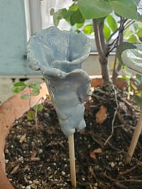 Image 4 of A selection of flowers