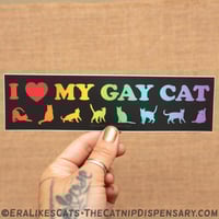 I ❤️ My Gay Cat Sticker