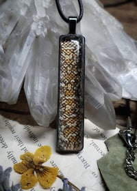 Image 5 of Brooks Kingsnake Skin Pendant