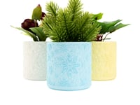 Image 2 of Snowflakes Planter (3-pack or 4-pack) color or greyscale, by bamingodesign