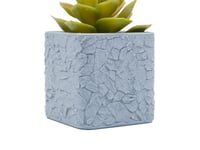 Image 3 of Rocks Planter (2-pack w/tray) color or greyscale, by bamingodesign