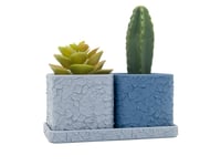 Image 2 of Rocks Planter (2-pack w/tray) color or greyscale, by bamingodesign