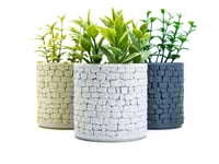 Image 1 of Stone Wall Round Planter (3-pack w/tray) color or greyscale, by bamingodesign
