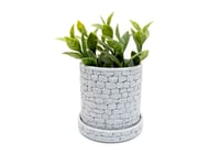 Image 3 of Stone Wall Round Planter (3-pack w/tray) color or greyscale, by bamingodesign