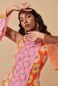 Image 4 of MARIPOSA MONARCA