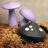 Image 2 of FHOS - Mushroom Hide