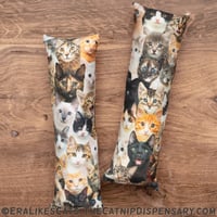 Era's Foster Kittens Jumbo Catnip Kicker Toy