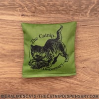 TCD Kitten Logo Catnip Crinkle Pillow Toy