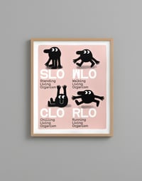 Image 2 of SLO WLO