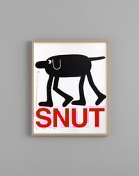 Image 2 of Snut