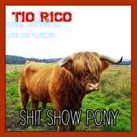 TIO RICO - SHIT SHOW PONY (LP)