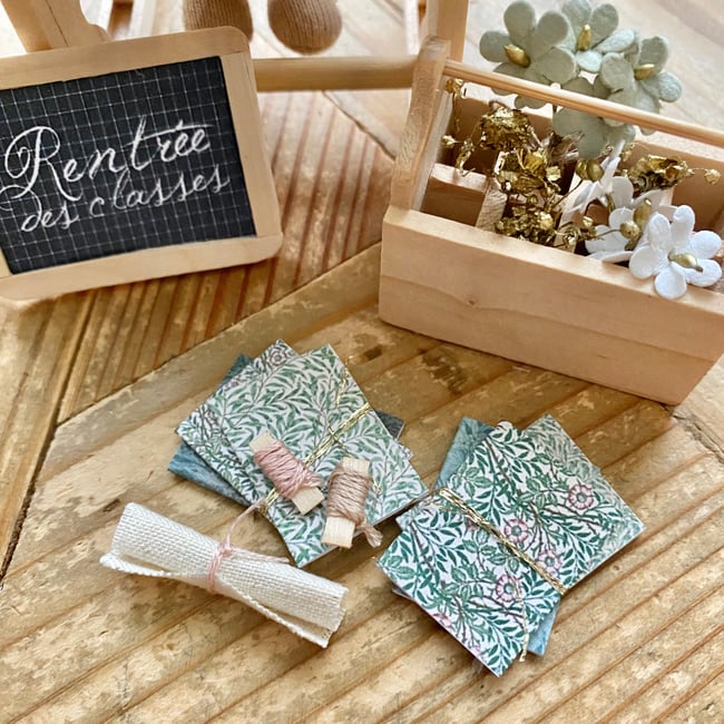 Les Précieuses Minuscules à l’école