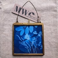 Image 1 of California Poppy & Cilantro Framed Mini