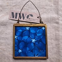 Image 1 of Crab Apple Framed Mini