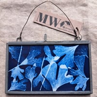 Image 1 of Gingko Framed Mini