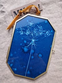 Image 1 of Queen Anne's Lace Framed Mini