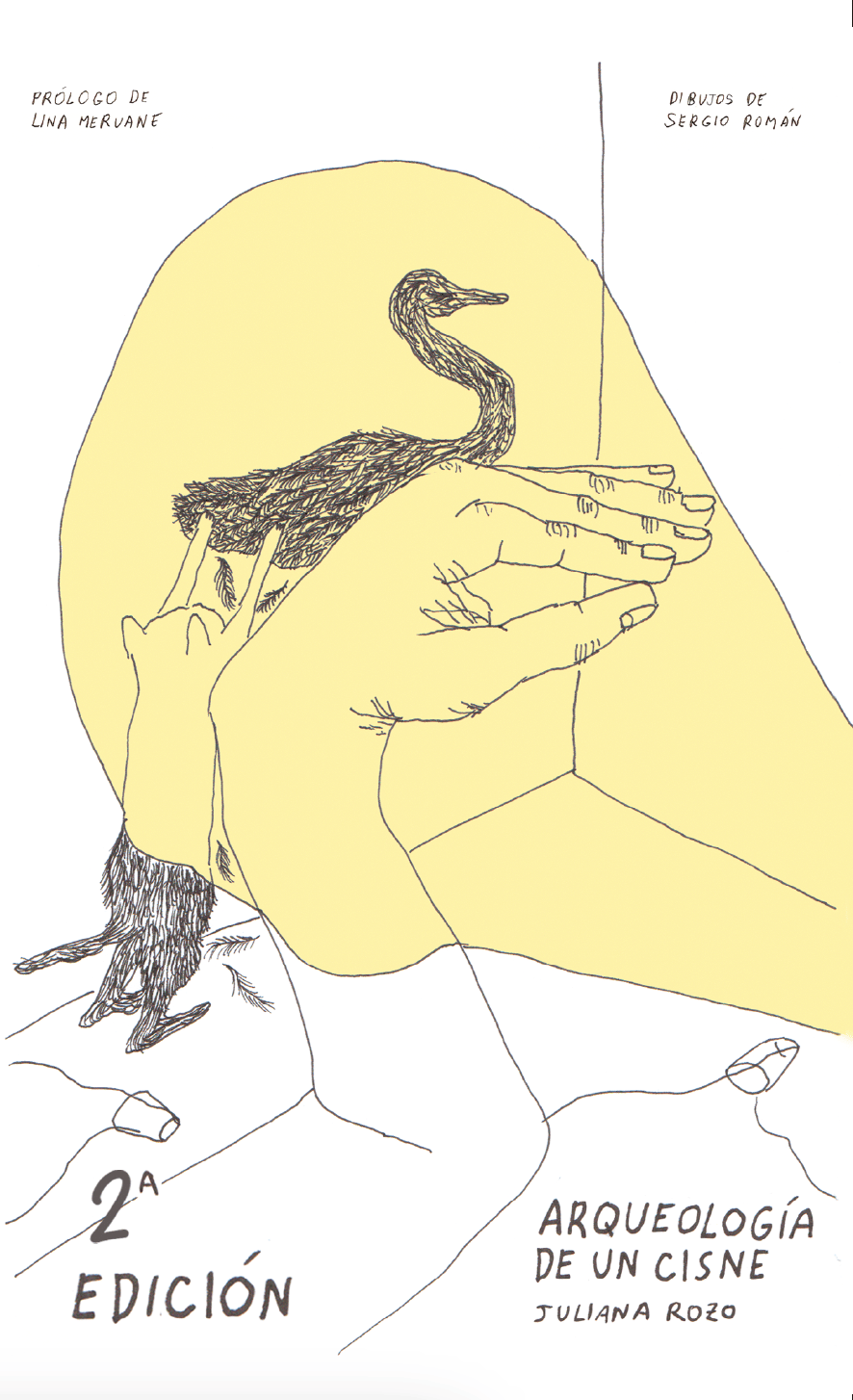 Image of Arqueología de un cisne