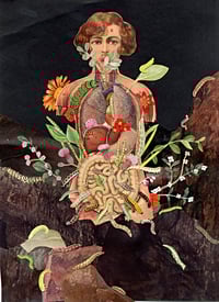 Anatomy