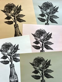 Image 2 of Peony & Coke