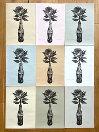 Image 4 of Peony & Coke