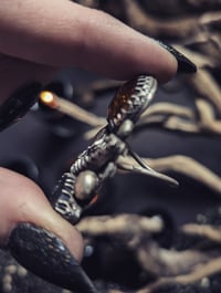 Image 2 of Rock collector ring (7)