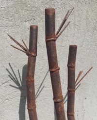 Image 2 of Lil Bamboo