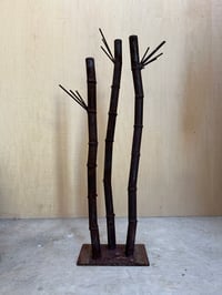 Image 4 of Lil Bamboo