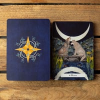 Image 2 of The Witches' Wisdom Tarot Deck