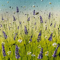 Image 1 of 'Lavender Fields'