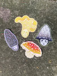 Image 2 of Shaggy Mane Sticker