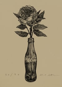 Image 5 of Peony & Coke